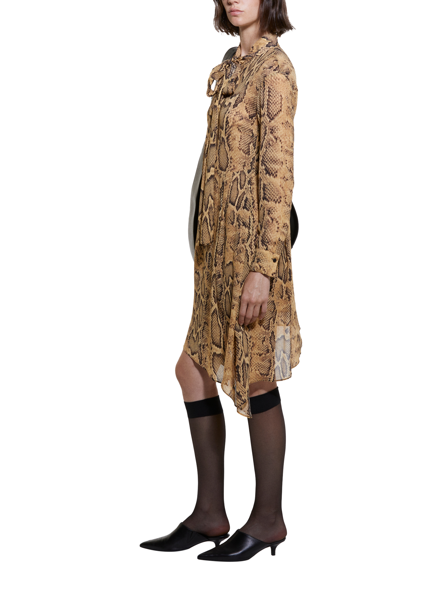 Product image 4 of 4, which shows SISLEY Snake Print Shirt Dress, Multi, 8