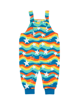 Blue Dungarees