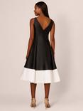 Adrianna Papell Colour Block Mikado Dress, Black/Ivory