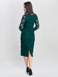 Gina Bacconi Scarlett Corded Lace Dress, Green