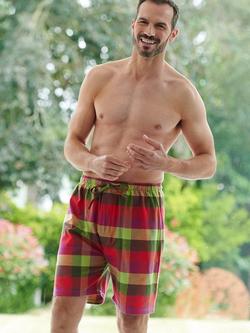 British Boxers Check Brushed Cotton Pyjama Shorts, Eskdale