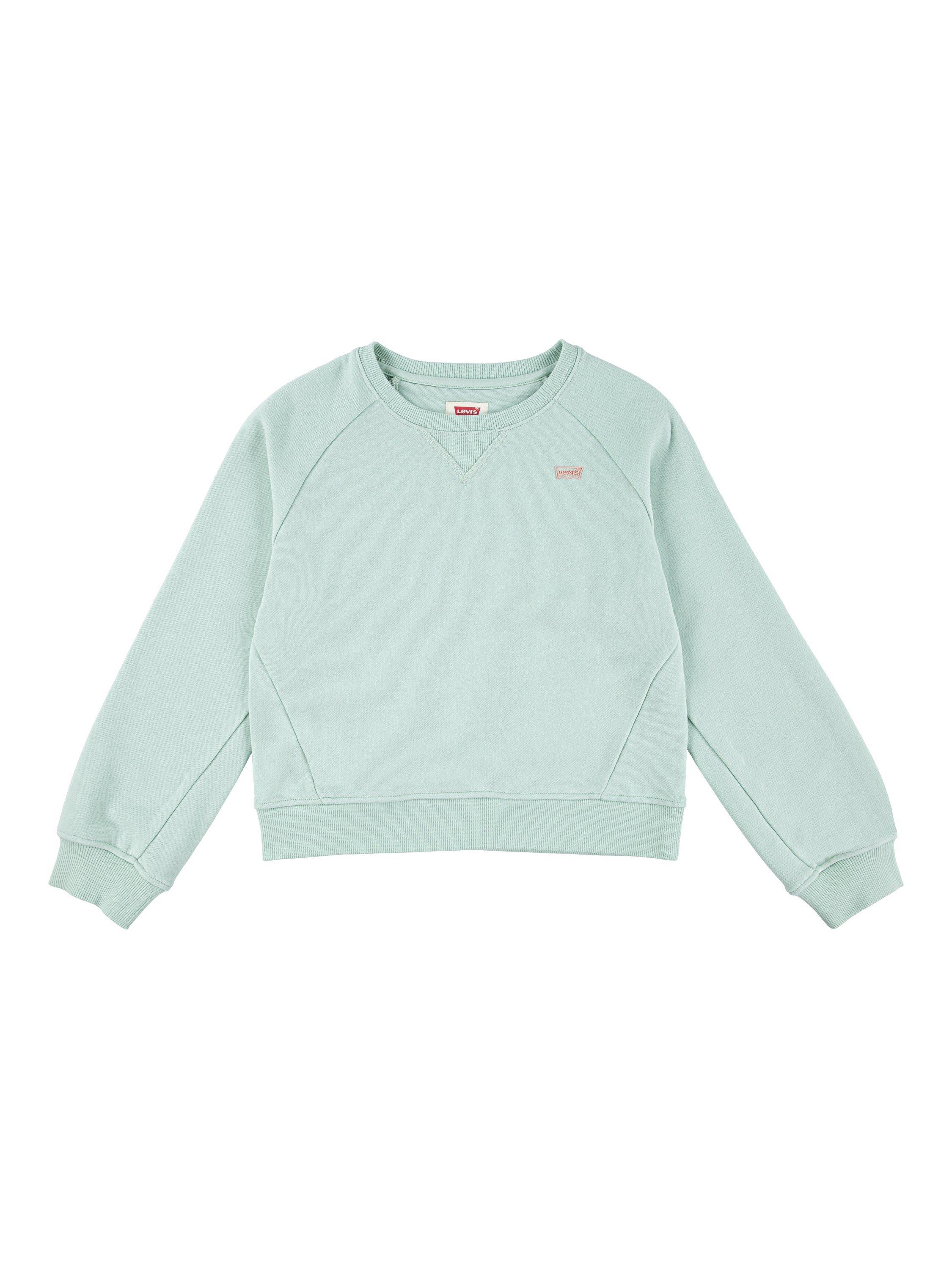 Product image 1 of 3, which shows Levi's Kids' Batwing Sweatshirt, Celadon, 10 years