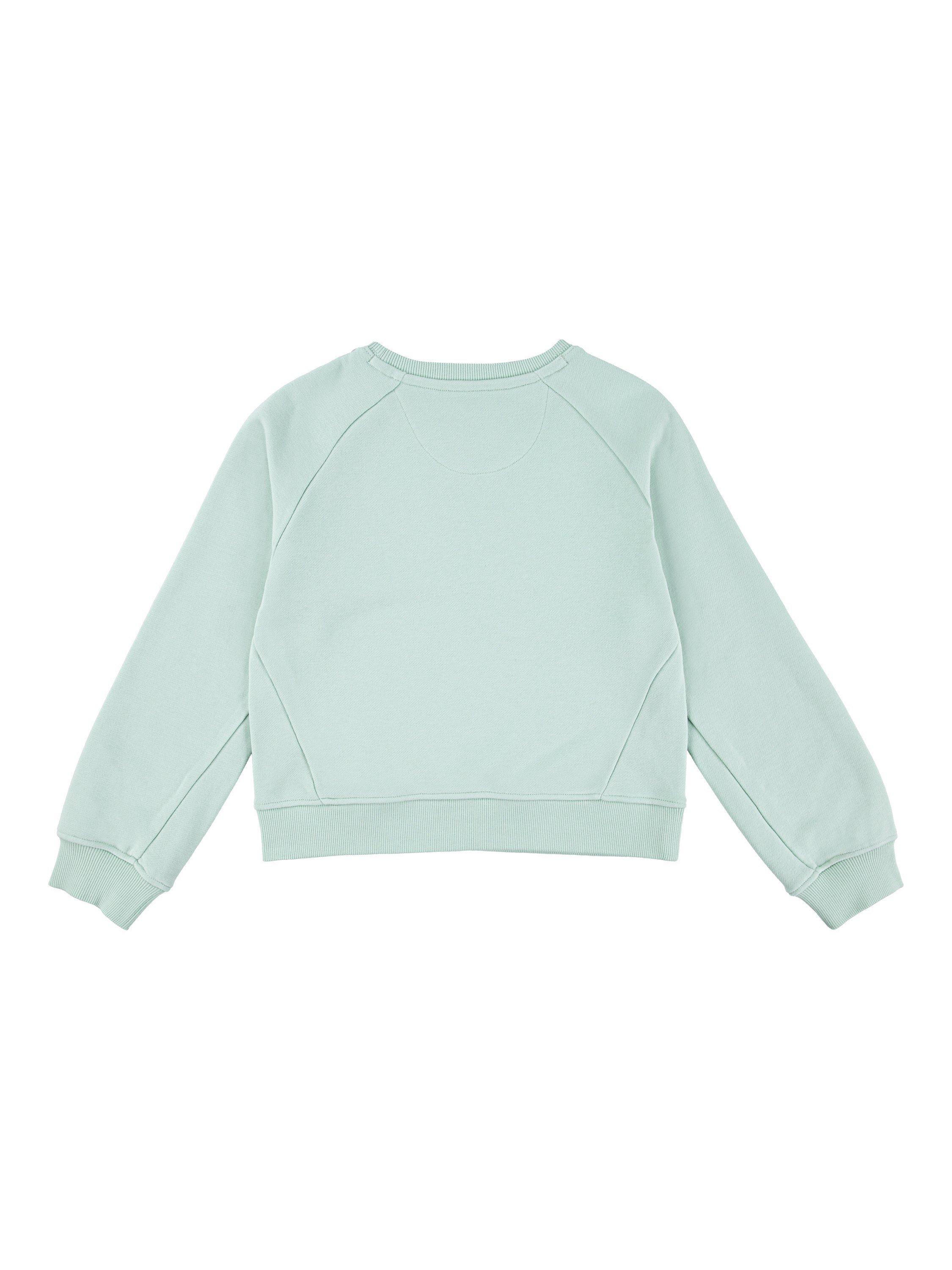 Product image 2 of 3, which shows Levi's Kids' Batwing Sweatshirt, Celadon, 10 years