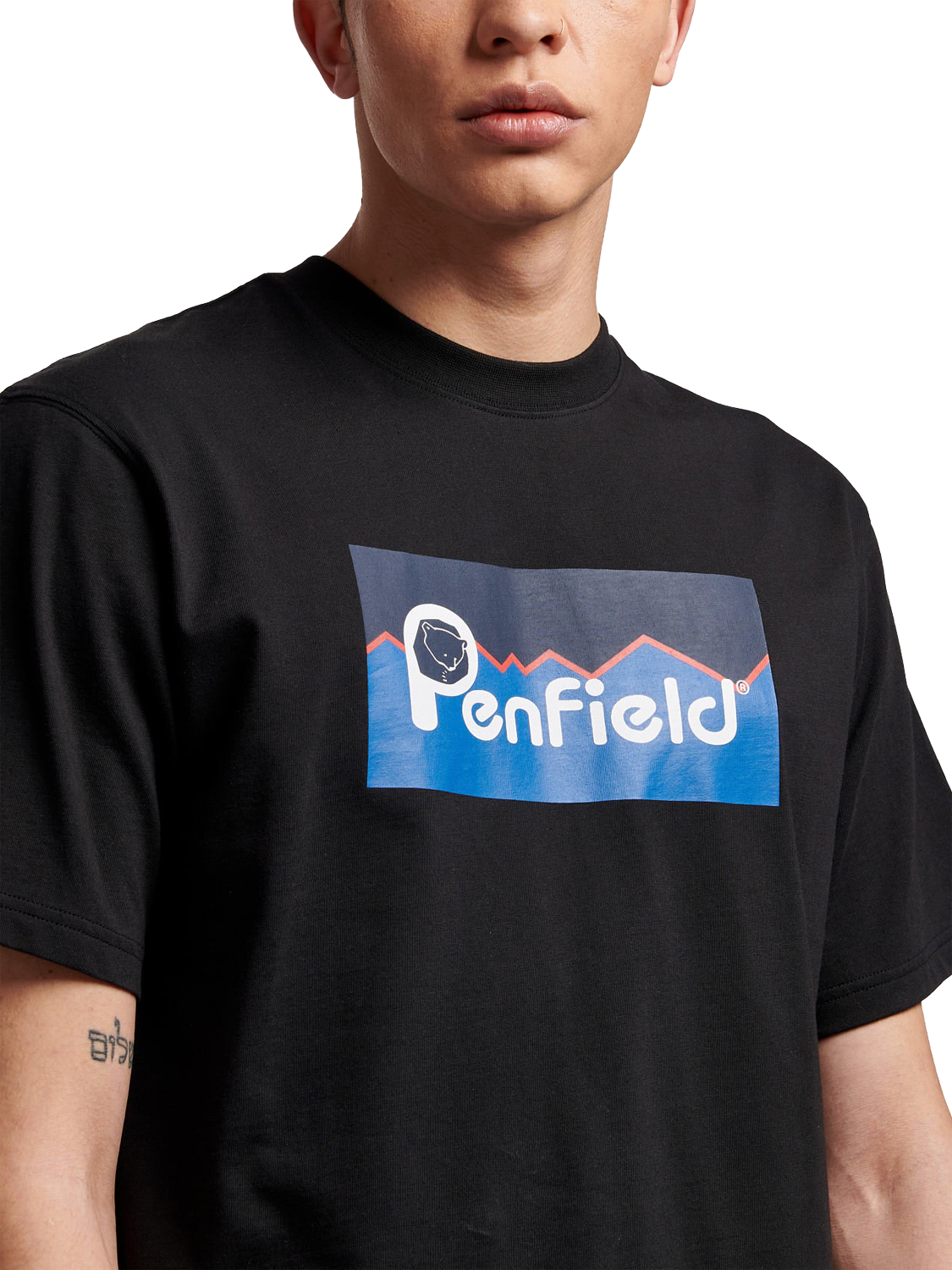 Product image 3 of 6, which shows Penfield Cotton Regular Fit Short Sleeve Logo T-Shirt, Black, S