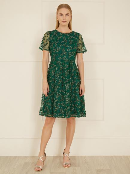 Yumi Embroidered Skater Dress, Green - view 2, Green