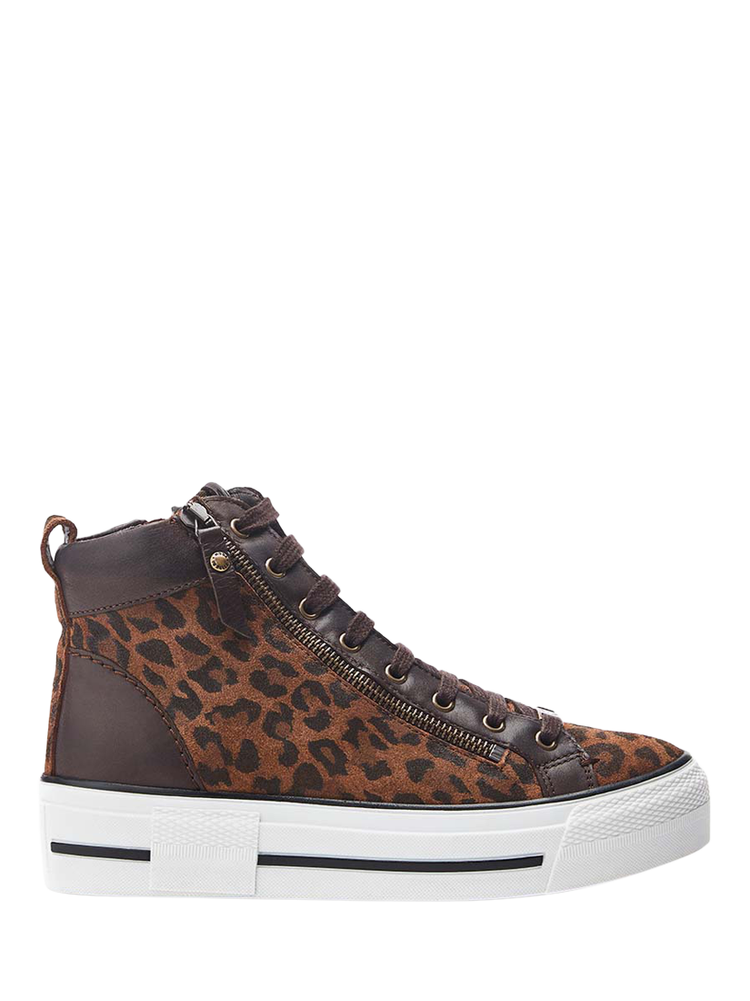 Product image 1 of 4, which shows Moda in Pelle Annaken Suede Leopard Print Hi-Top Trainers, Brown/Multi, 3