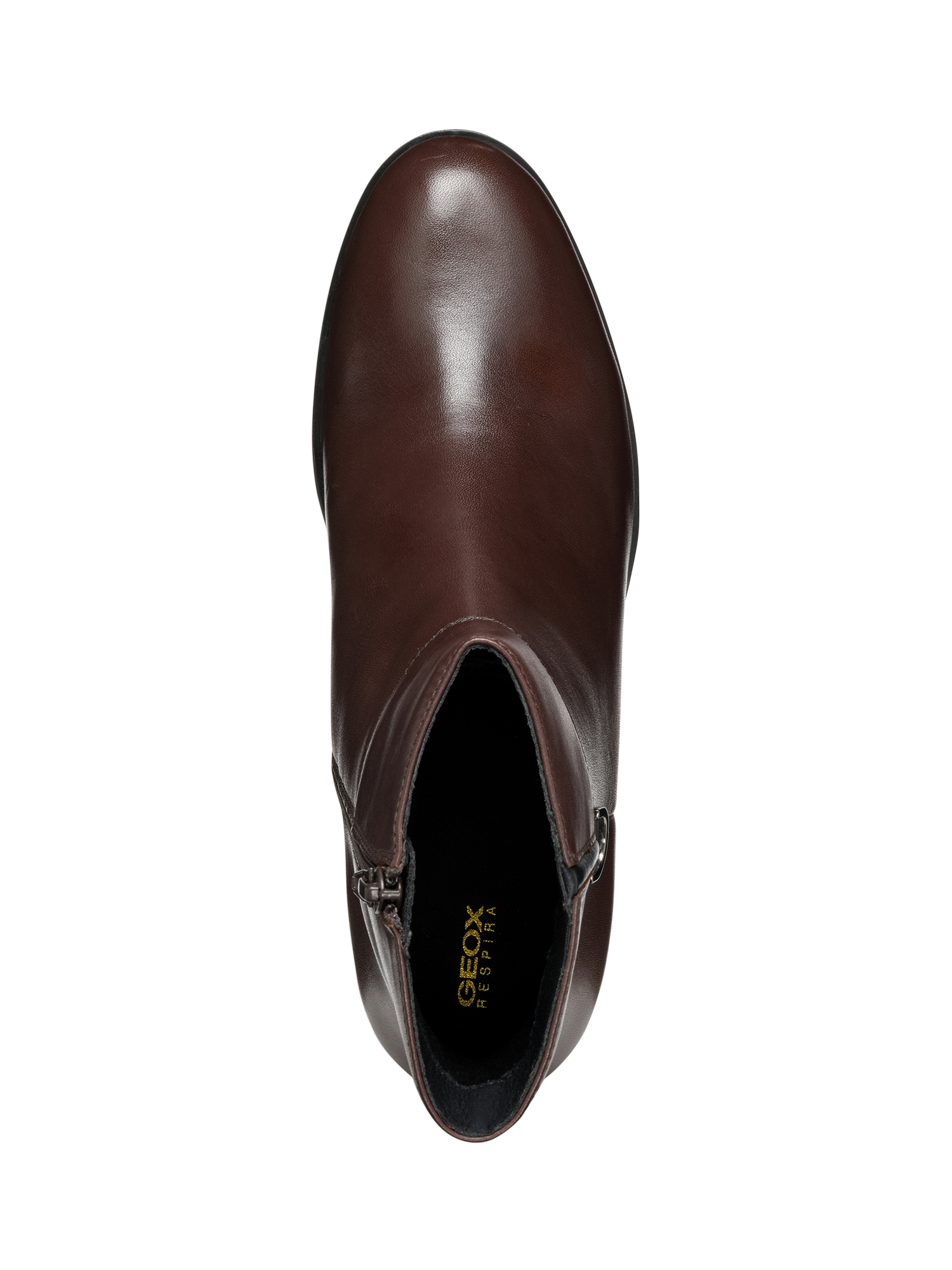 Product image 6 of 7, which shows Geox New Asheel Leather Ankle Boots, Dark Brown, EU38