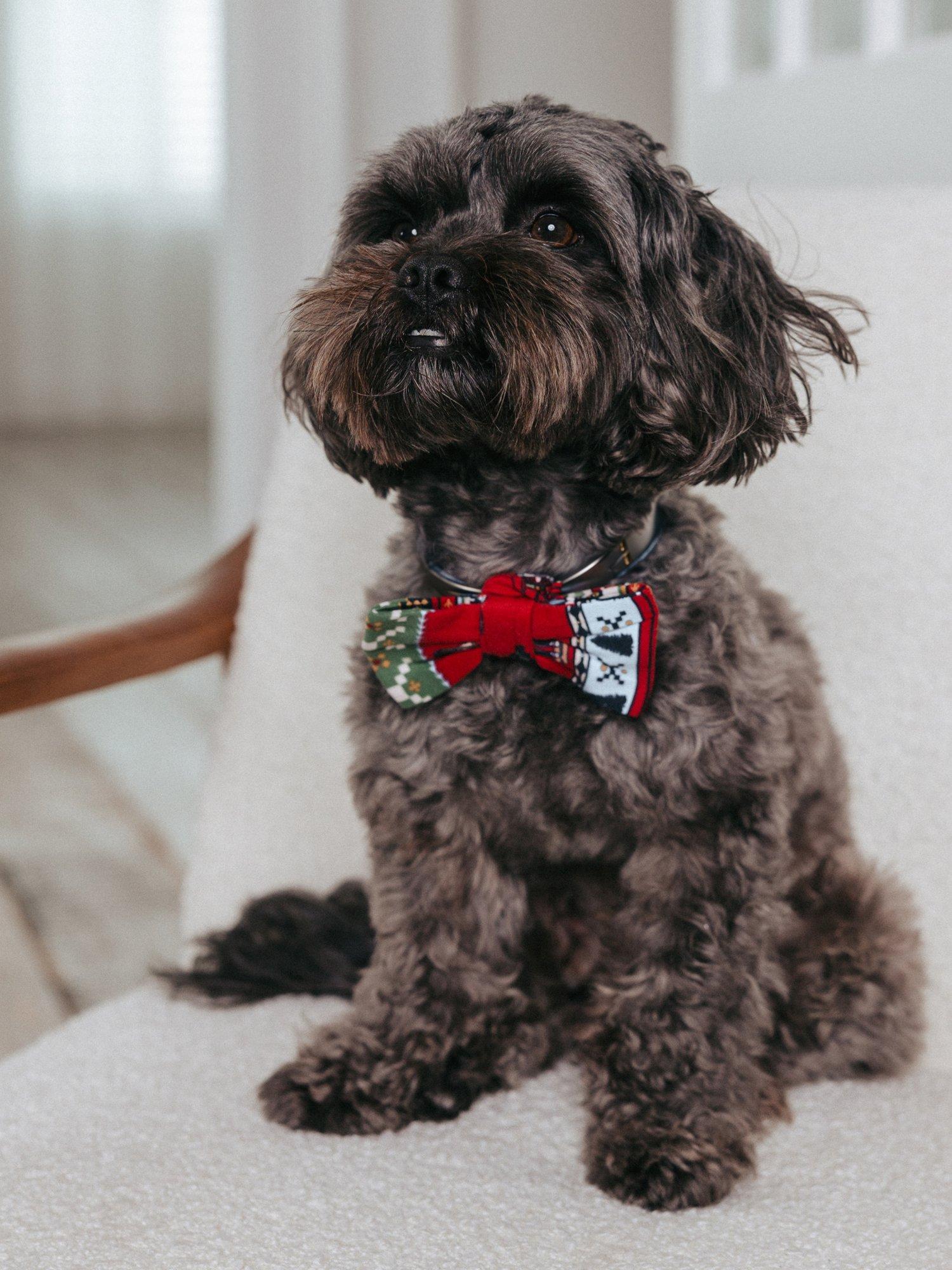 Chelsea Peers Pet Christmas Nutcracker Fair Isle Print Bow Tie