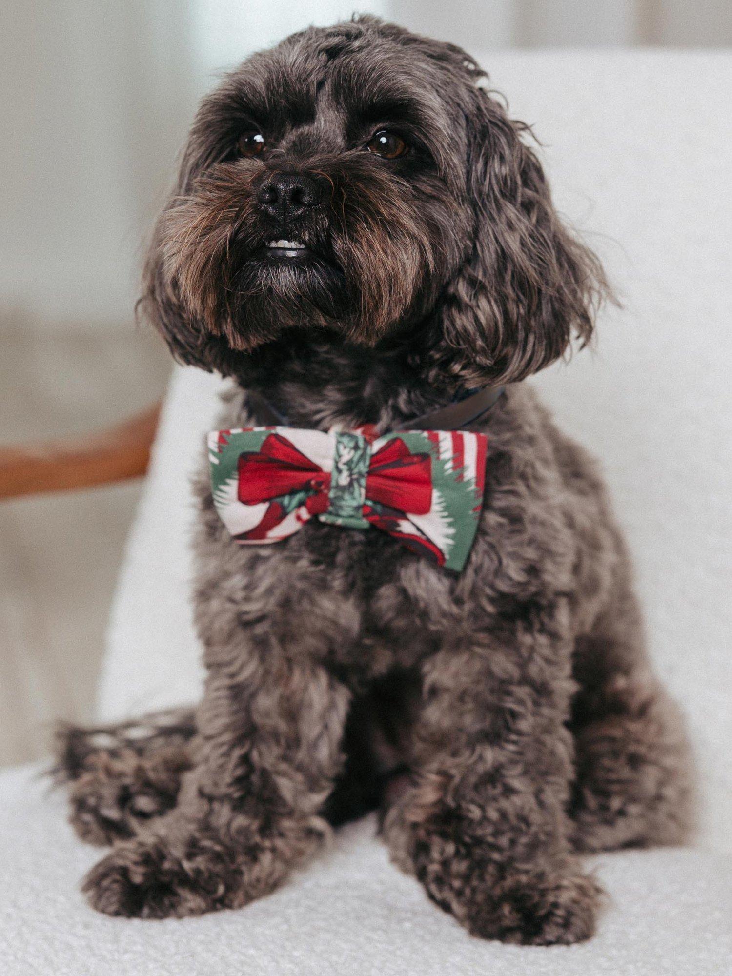 Chelsea Peers Vintage Tree & Wreath Pet Bow Tie, Red