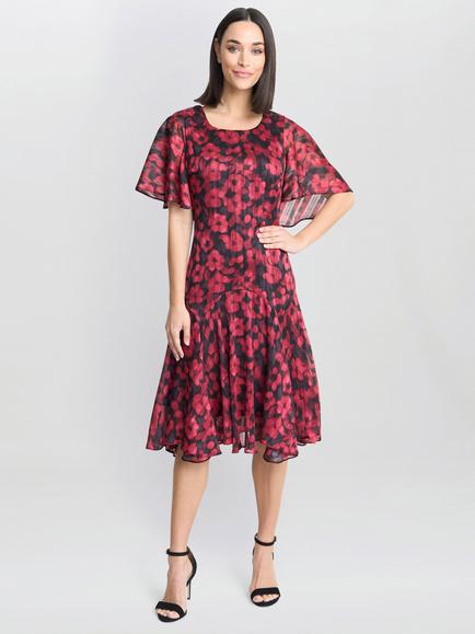 Gina Bacconi Annette Floral Dress, Black/Red, Black/Red