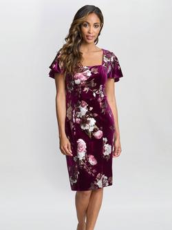 Gina Bacconi Stretch Velvet Shift Dress, Magenta, Magenta