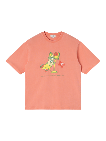 Stan Ray Cotton Regular Fit Stan Dunk Graphic T-Shirt, Washed Red, Washed Red