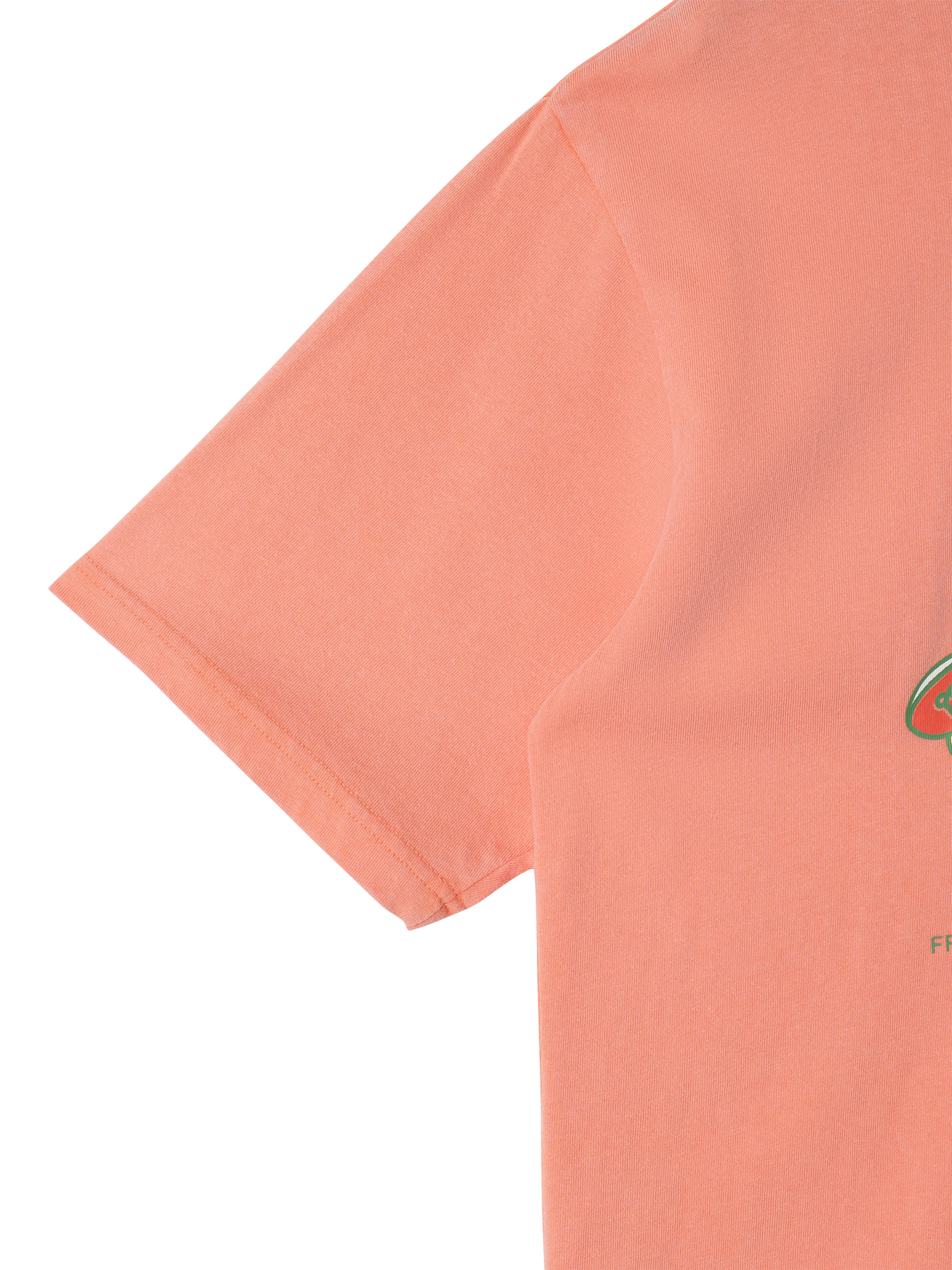 Product image 4 of 4, which shows Stan Ray Cotton Regular Fit Stan Dunk Graphic T-Shirt, Washed Red, S