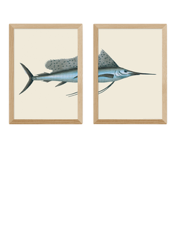 EAST END PRINTS Natural History Museum 'Swordfish' Framed Print, Set of 2, Oak
