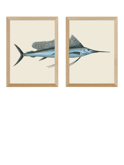 EAST END PRINTS Natural History Museum 'Swordfish' Framed Print, Set of 2, Oak
