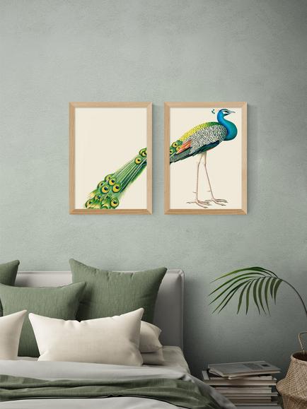 EAST END PRINTS Natural History Museum 'Peacock' Framed Print, Set of 2 - view 2, Oak