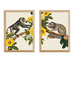 EAST END PRINTS Natural History Museum 'Monkeys' Framed Print, Set of 2, Oak