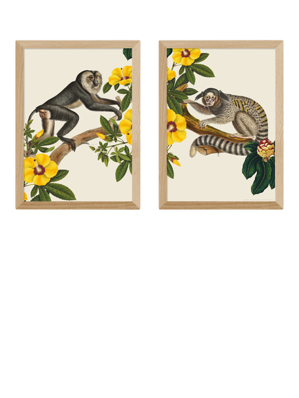 EAST END PRINTS Natural History Museum 'Monkeys' Framed Print, Set of 2, Oak