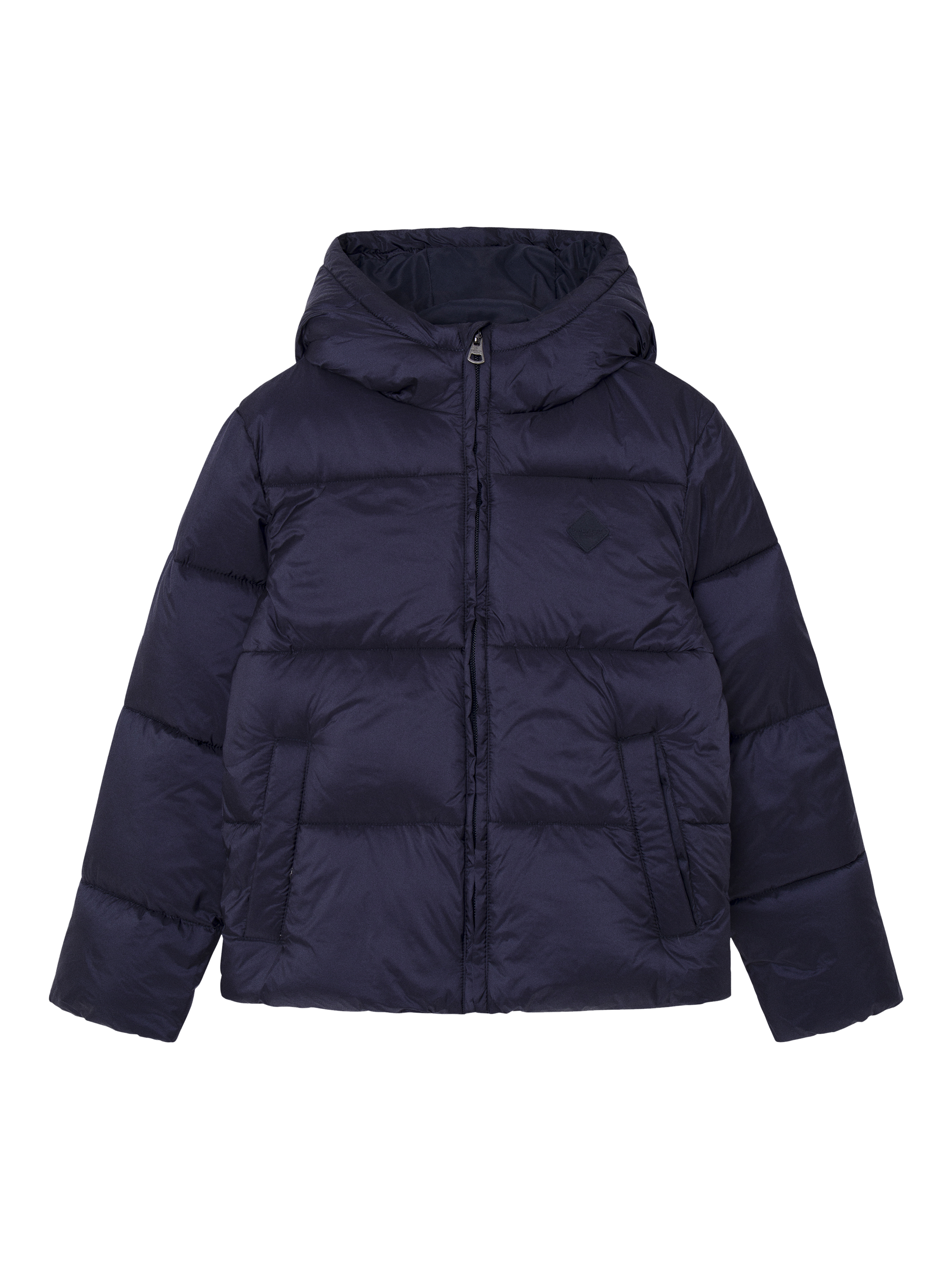 Padded and down jackets on sale