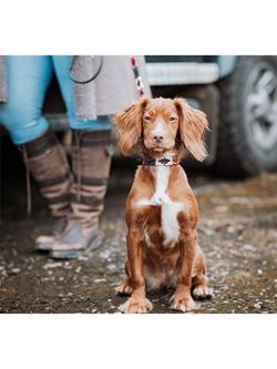 Pampeano Petalo Leather Dog Lead, Pink/Blue - view 2, Pink/Blue