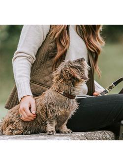 Pampeano Caza Leather Dog Lead - view 2, Green
