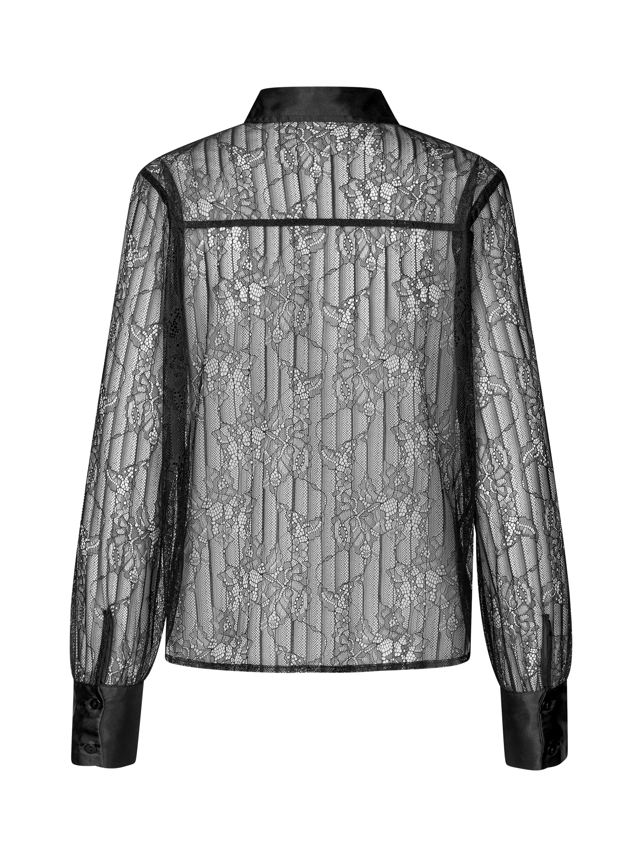 Product image 2 of 4, which shows A-VIEW Florence Sheer Lace Shirt, Black, 8