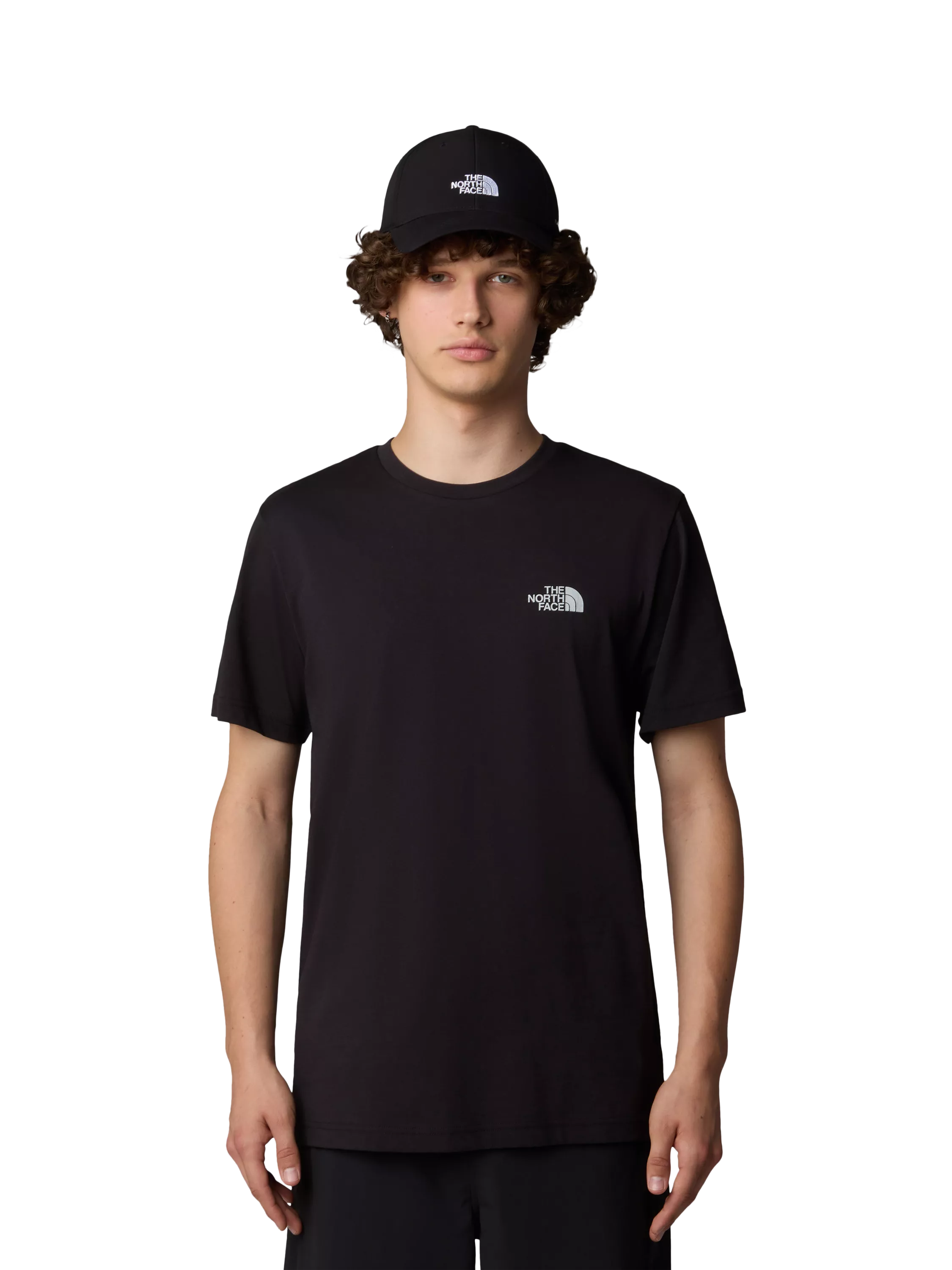 VIP【関税送料無料】希少 The North Face NSE Reflective Tee THE NORTH FACE tシャツ 「 海外流通モデル 」 / ノースフェイス