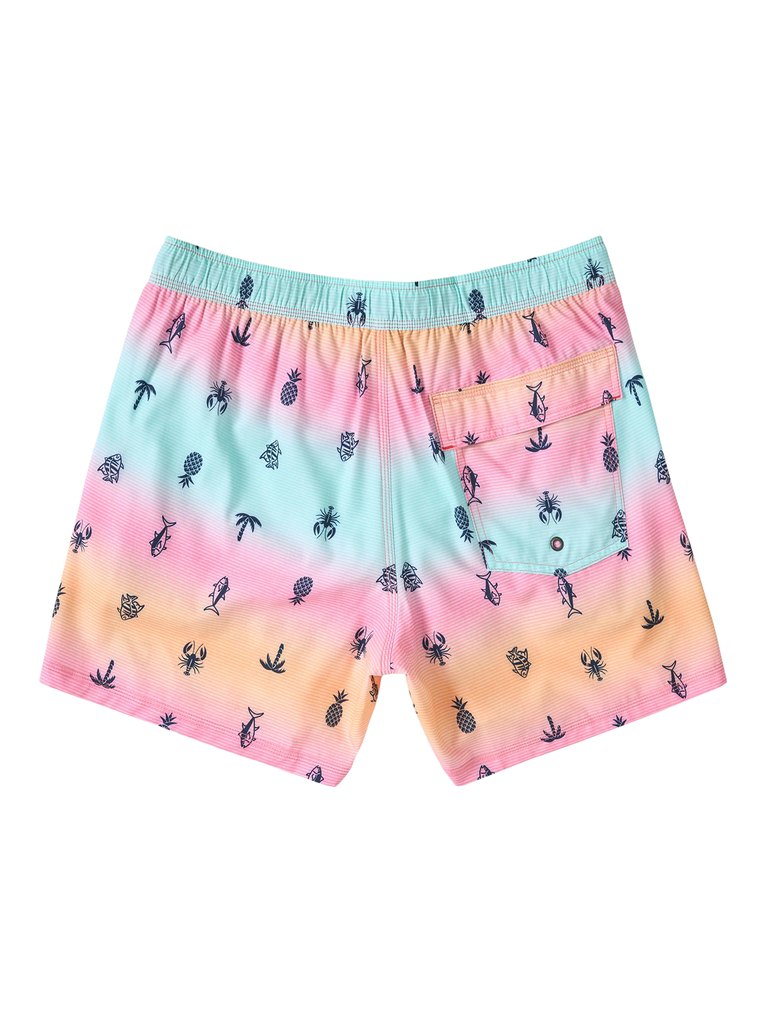 Product image 5 of 7, which shows SAXX Oh Buoy 2N1 Volley Summer Ombre Swim Shorts, Multi, S