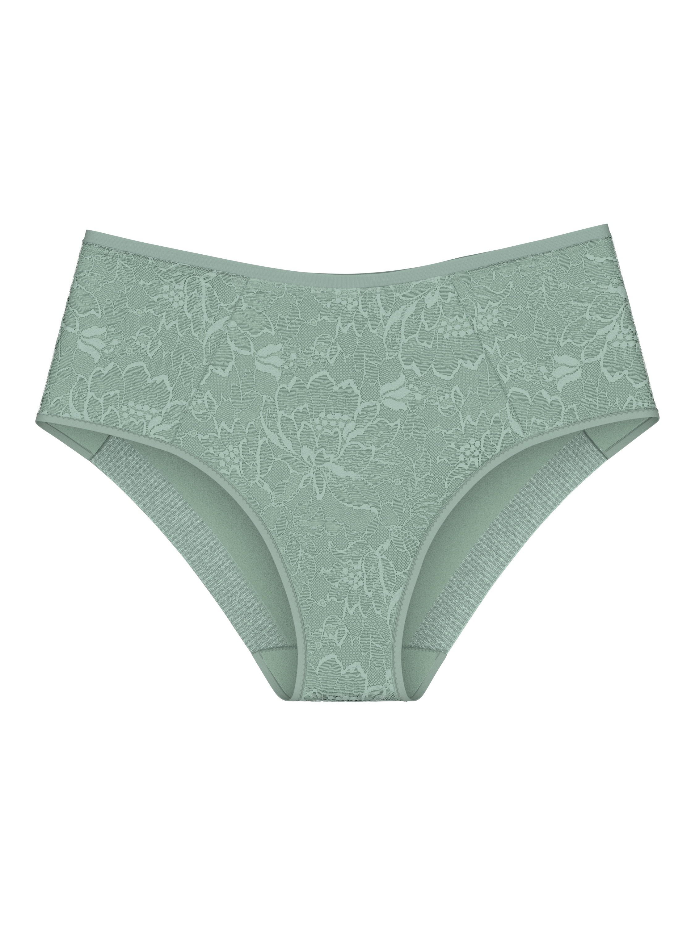 Product image 1 of 1, which shows Triumph Amourette Charm Maxi Briefs, Absinthe, 16