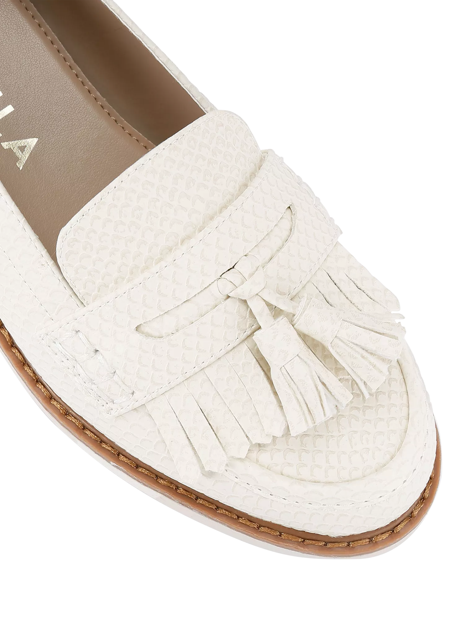 Putty  - Out of stock