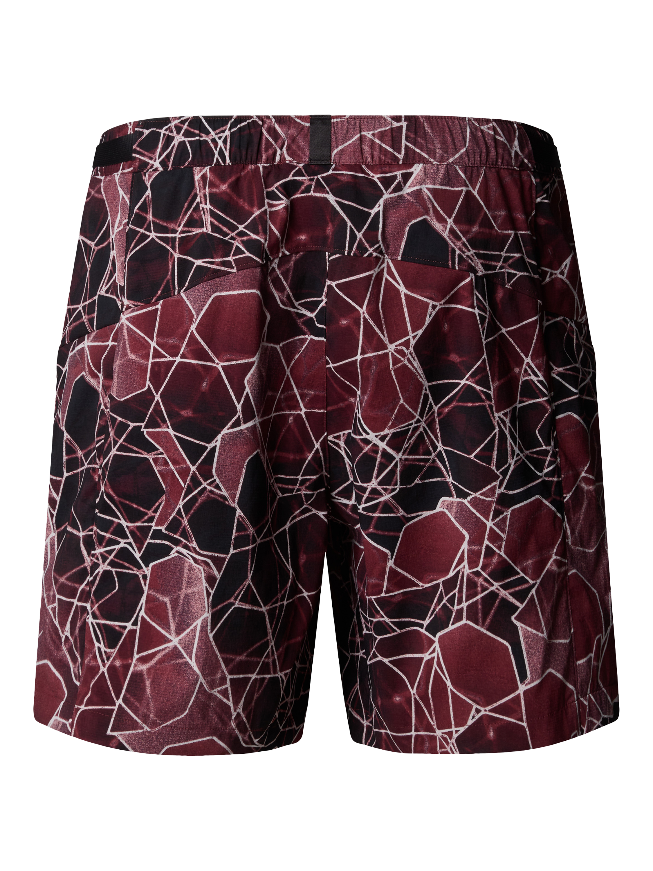 Product image 2 of 2, which shows The North Face Class V Pathfinder Belted Shorts, Sumac, XXL