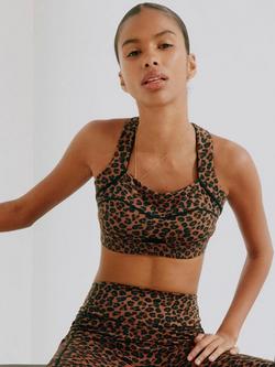 Never Fully Dressed Leopard Print Sports Bra, Black/Multi, Black/Multi