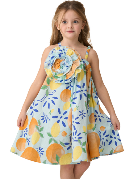 Angel & Rocket Kids' Carrie Swing Corsage Dress, Multi, Multi