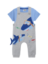Grey Dungarees