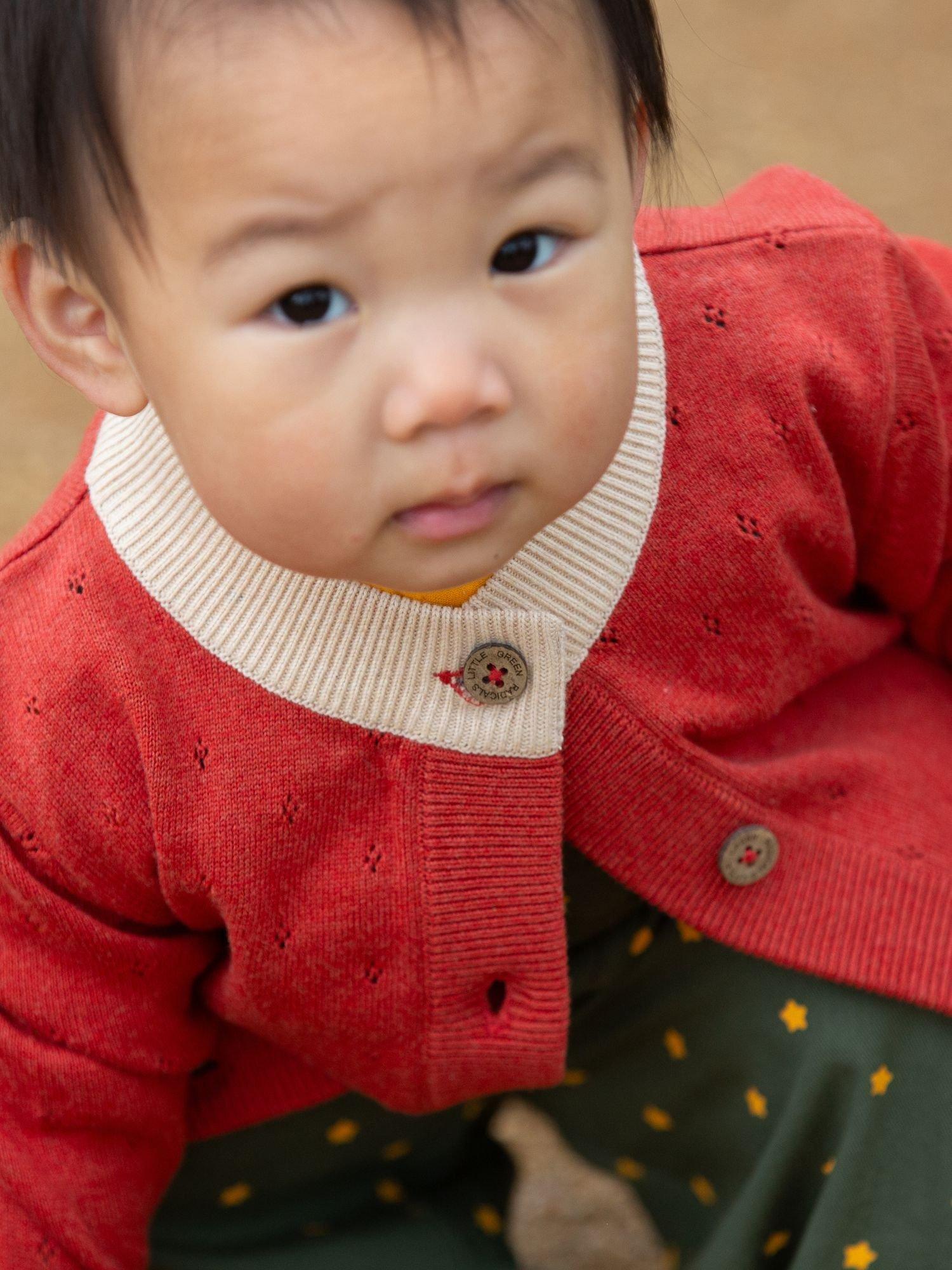 Product image 4 of 5, which shows Little Green Radicals Baby Pointelle Pure Organic Cotton Cardigan, Red/Cream, 2-3 years