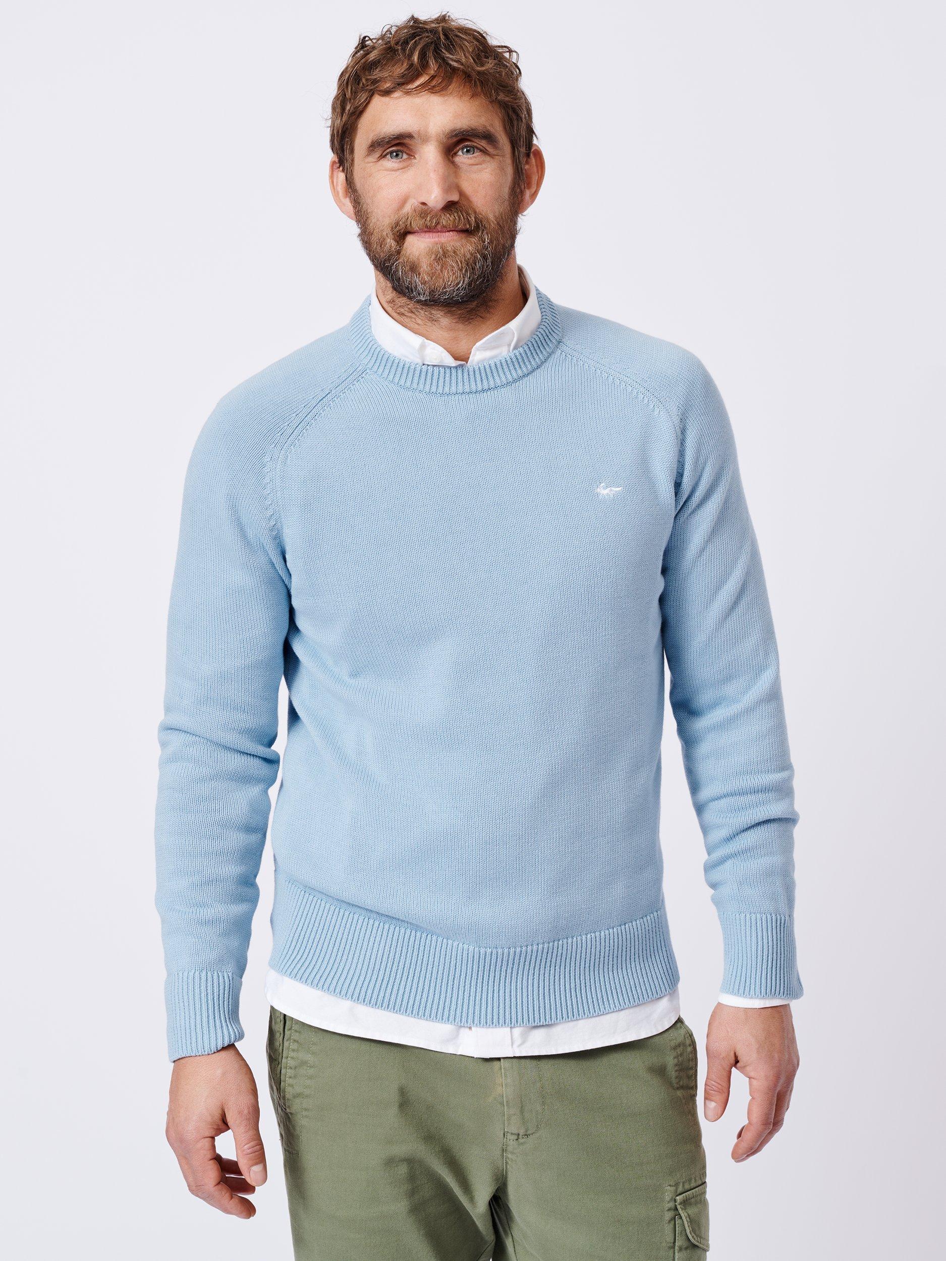 Product image 1 of 1, which shows Aubin Leverton Organic Cotton Crew Jumper, Pale Blue, S