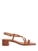 Tan