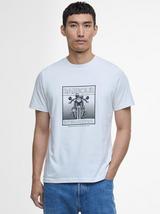 Cotton Graphic
