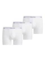 Briefs