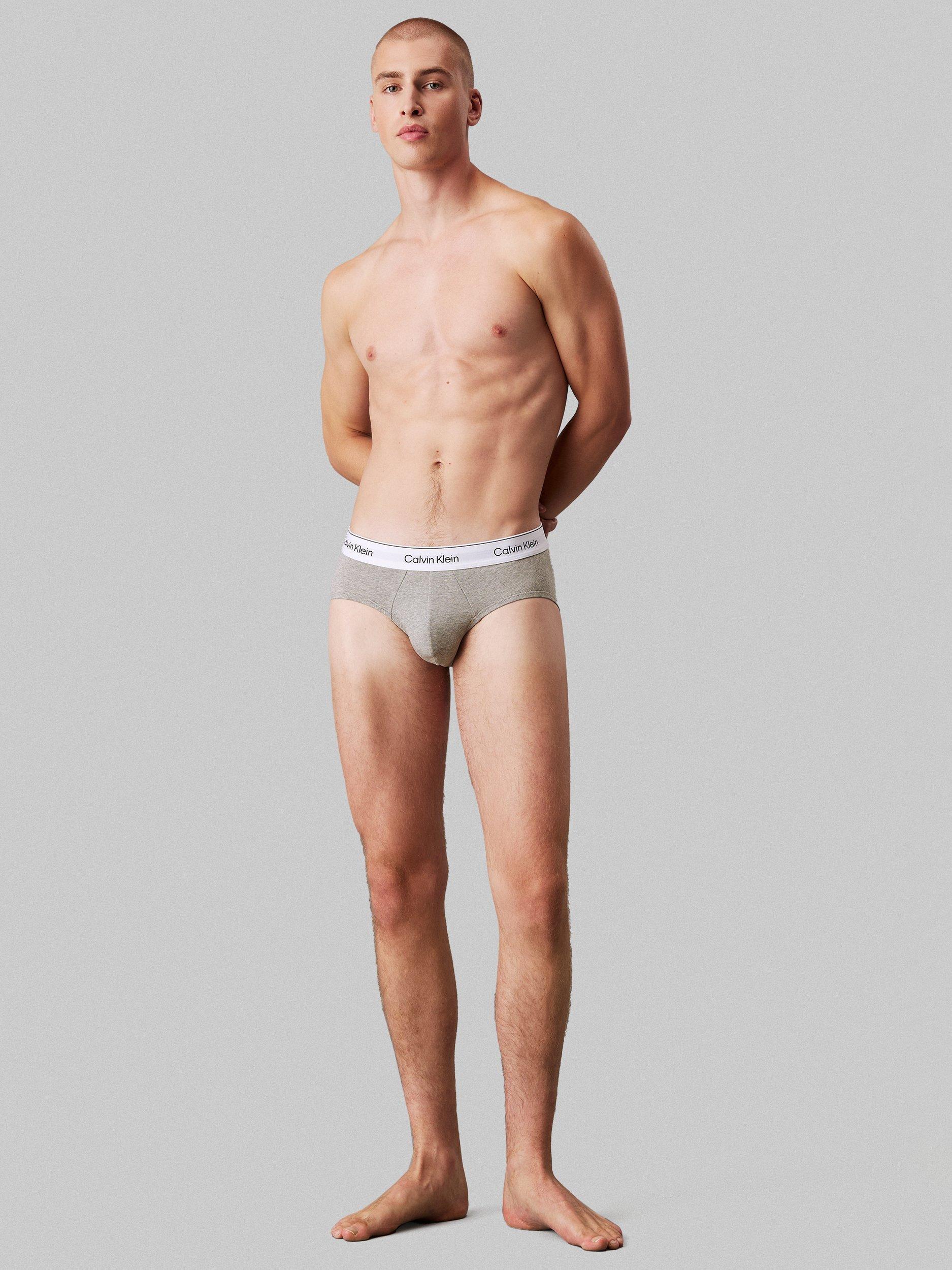 Product image 4 of 5, which shows Calvin Klein Icon Cotton Stretch Briefs, Pack of 3, Shoreline/Grey Heather, XS