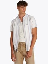 Regular Fit Stripe