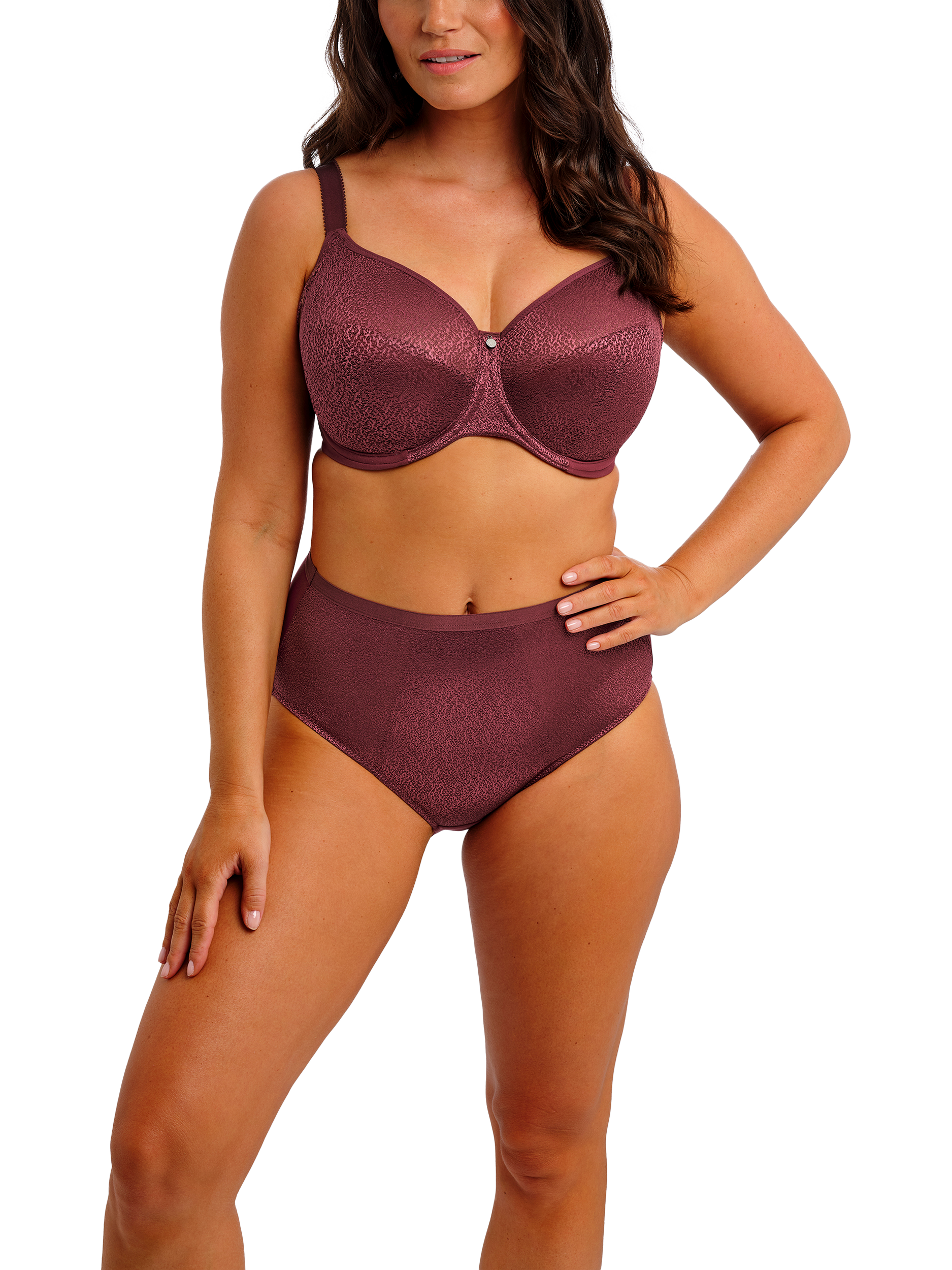 Product image 4 of 6, which shows Fantasie Demur High Waist Knickers, Fig, M