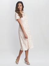 英国発【Hobbs London】Johanna レースドレス Johanna Lace Dress | Hobbs US |