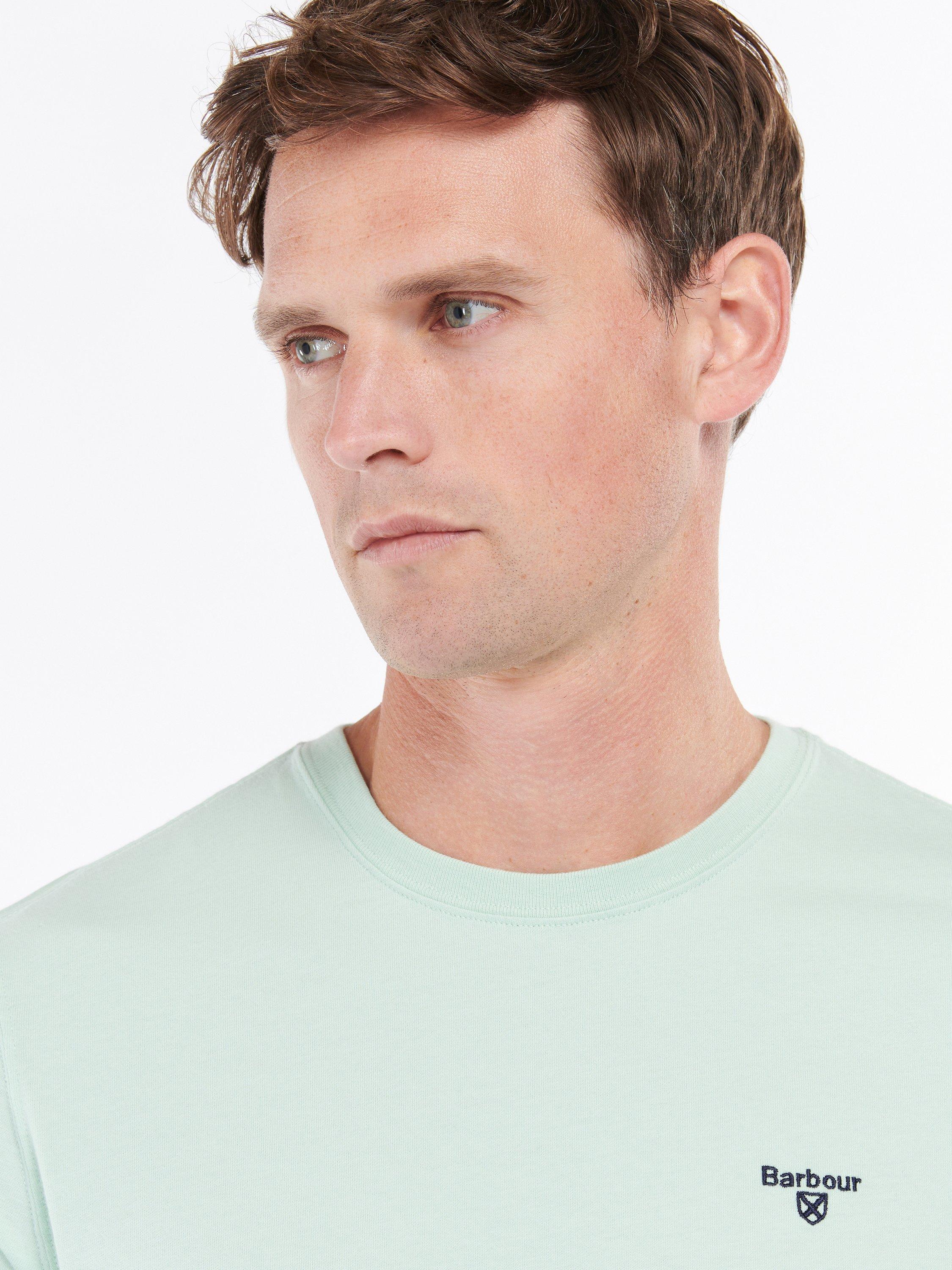 Product image 5 of 6, which shows Barbour Essential Sports Logo T-Shirt, Dusty Mint, S