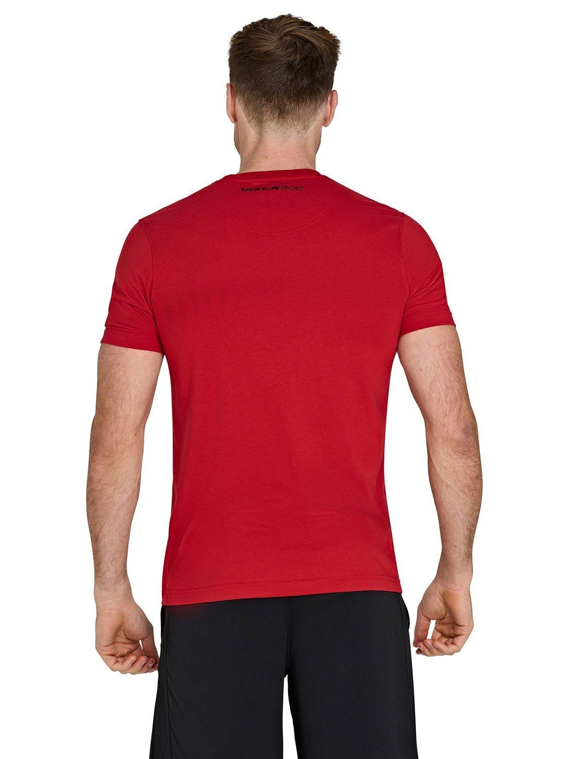 Product image 3 of 6, which shows Raging Bull Cotton Blend Regular Fit Blood, Sweat & Tears T-Shirt, Red, S