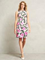 Gina Bacconi Roslyn Cowl Neck Dress, Black/Fuchsia