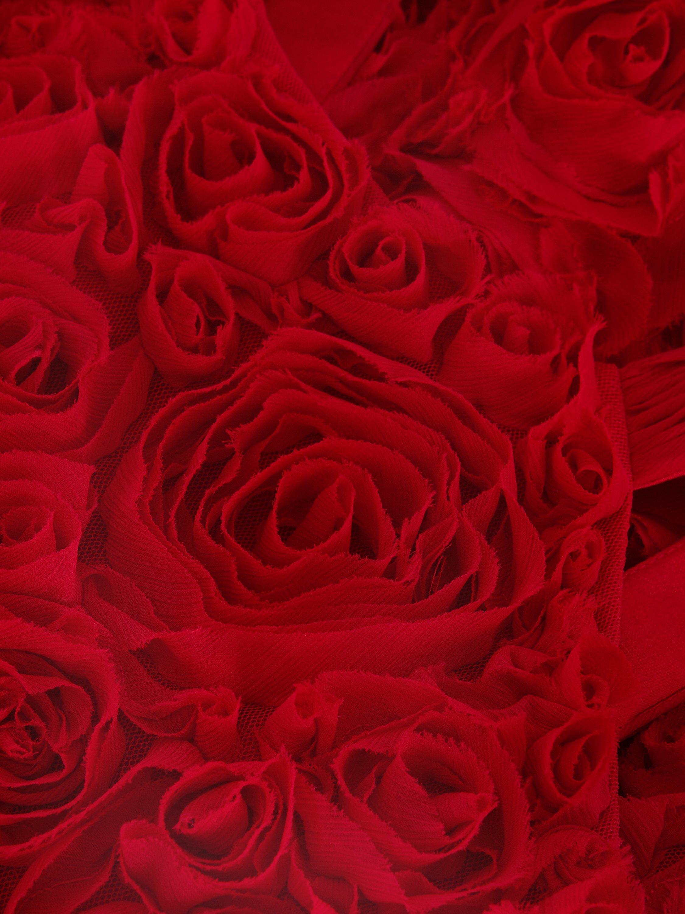 Product image 6 of 10, which shows Phase Eight Collection 8 Angeline Rose Textured Dress, Red, 6