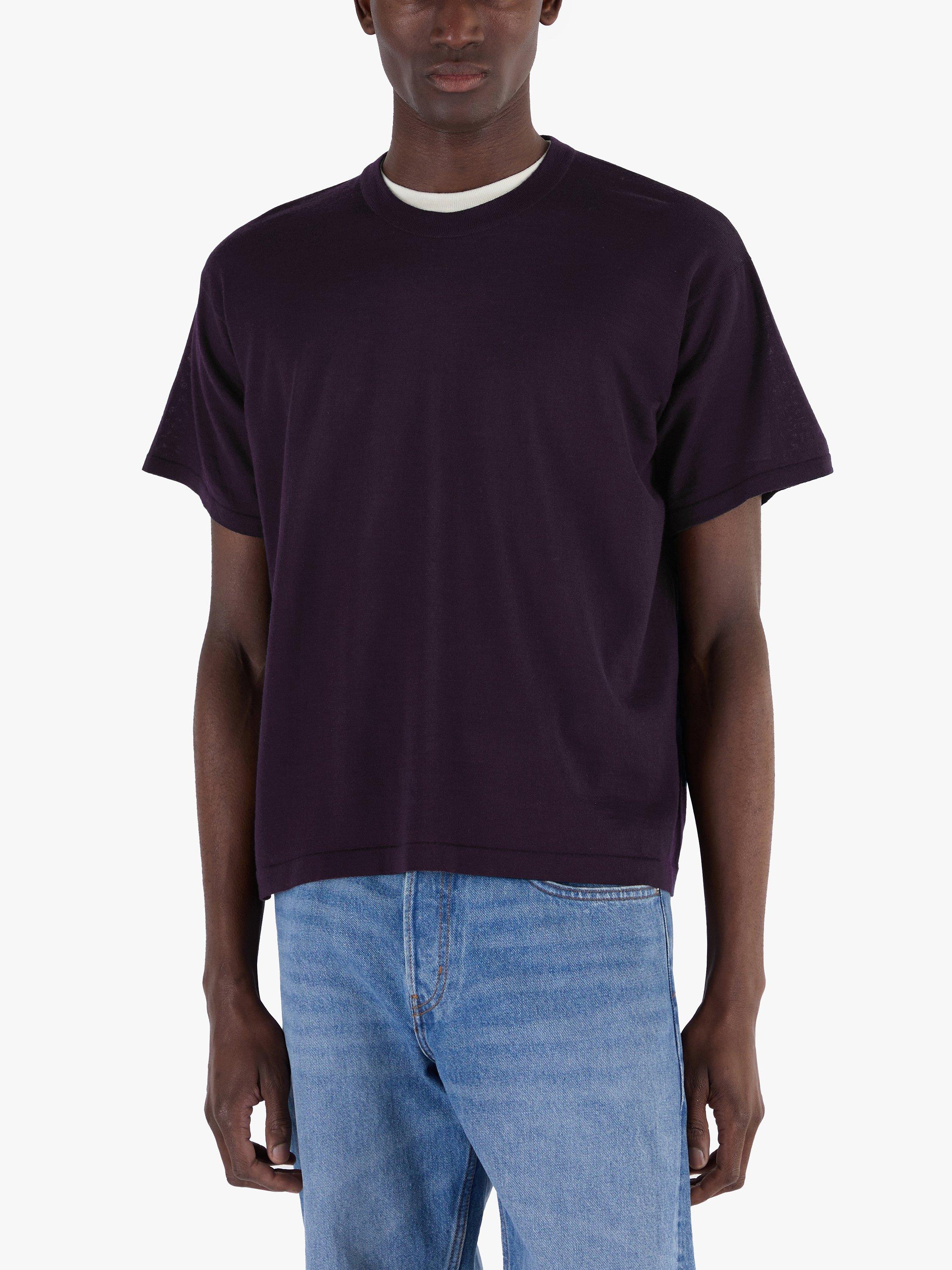 Product image 7 of 10, which shows John Smedley Merino Boxy Fit Short Sleeve T-Shirt, Purple/Rosewood, S