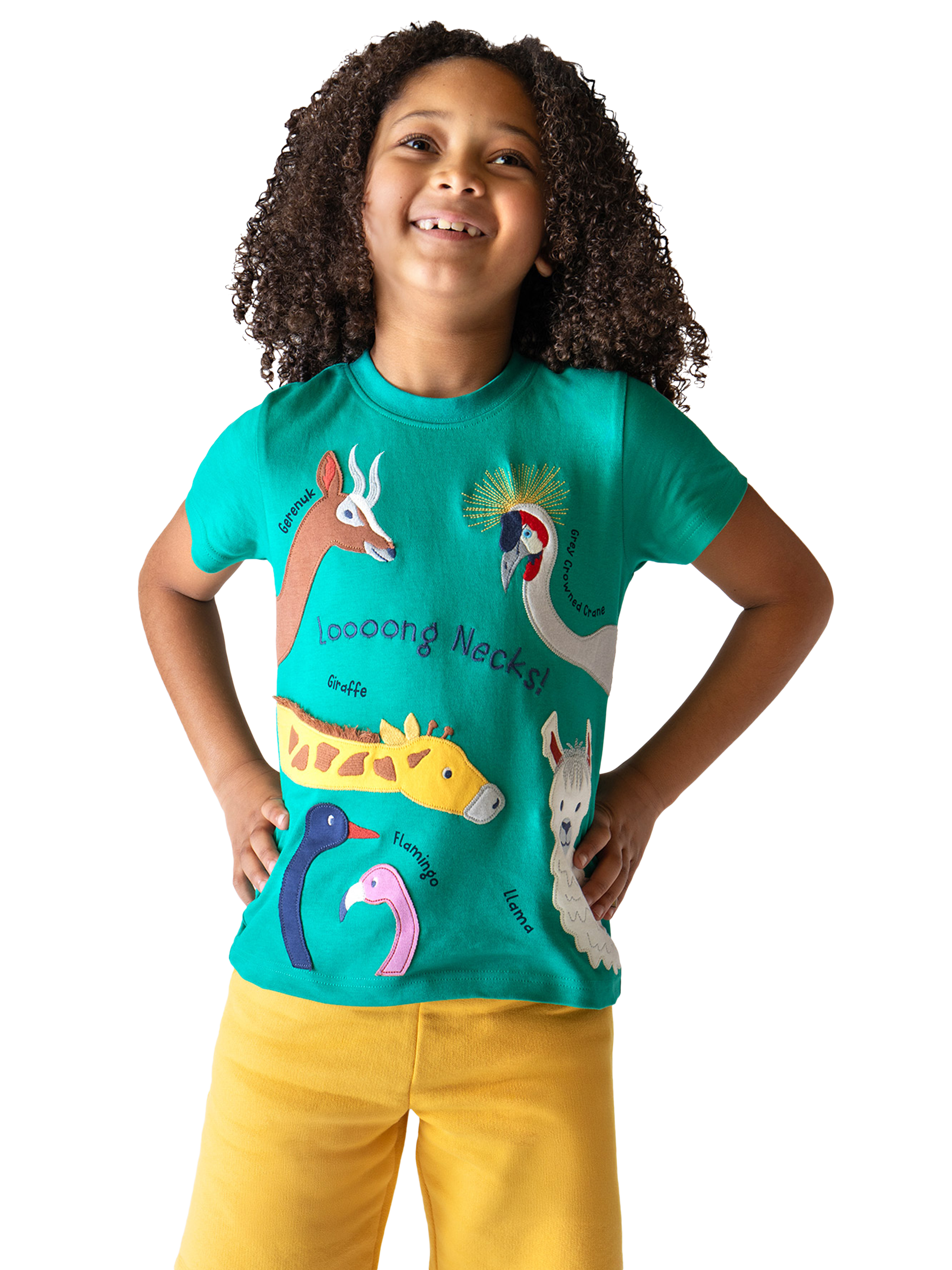 Product image 2 of 6, which shows Frugi Kids' Carsen Organic Cotton Animal Applique T-Shirt, Iguana/Multi, 2-3 years
