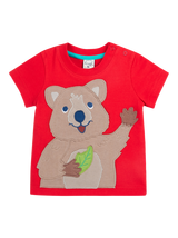 Organic Cotton T-Shirts